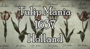 Tulip Mania, 17th century Holland - The First Financial Bubble in History